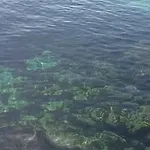 A Parrula, Mar, Rio Y Montana Sotomayor