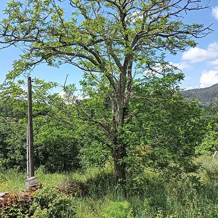 A Parrula, Mar, Rio Y Montana * Sotomayor