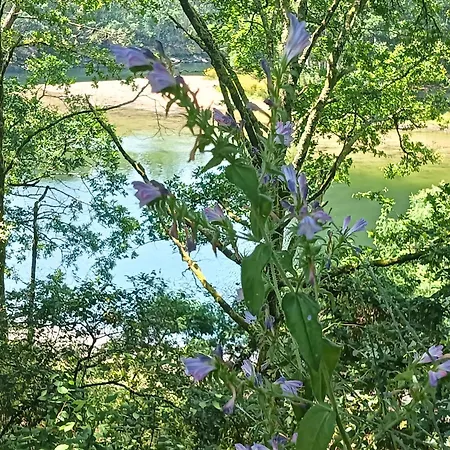A Parrula, Mar, Rio Y Montana