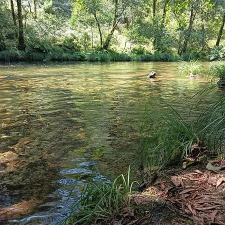 A Parrula, Mar, Rio Y Montana *