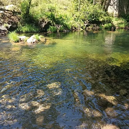 A Parrula, Mar, Rio Y Montana