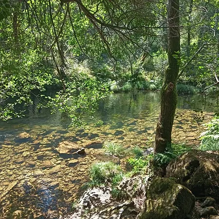 A Parrula, Mar, Rio Y Montana *