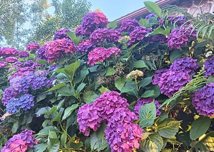 A Parrula, Mar, Rio Y Montana Hébergement de vacances *