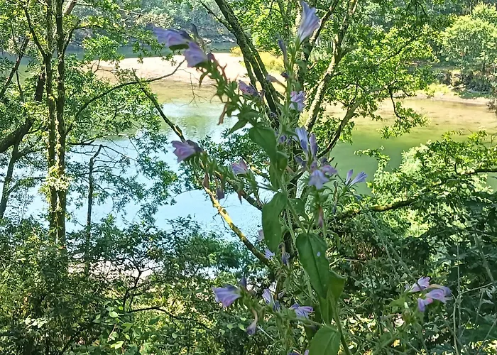 A Parrula, Mar, Rio Y Montana