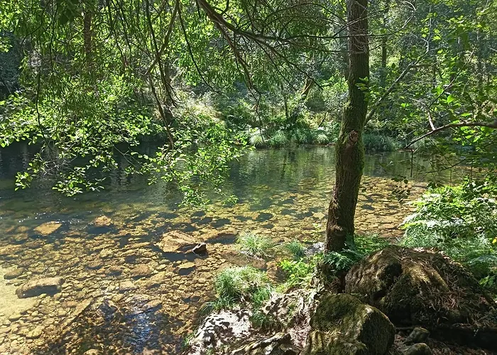 A Parrula, Mar, Rio Y Montana *